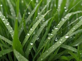 ai generado cerca arriba detalle de verde césped con agua gotas foto