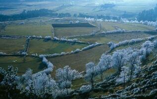 un ver de un Valle con arboles y césped foto