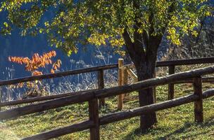 a fence with a tree in the background photo