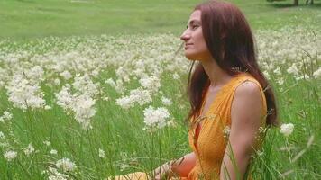 gelukkig vrouw wandelen in de zomer veld. hand- aanraken wild gras. genieten van natuur Aan vakantie weekend. accenten bloemen in natuur. meisje in de weide video