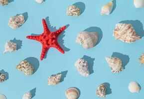 Trendy sunlight summer pattern made with sea shells and red starfish on light blue background. Minimal summer concept. Creative sea shells and starfish idea. Summer aesthetic. photo