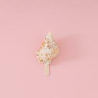 Trendy summer layout of sea shell with ice cream stick on light peachy pink background. Minimal summer concept. Creative beach food idea. Ice cream aesthetic. Flat lay. Top of view. photo