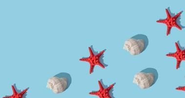 Trendy sunlight summer pattern made with sea shell and red starfish on light blue background. Minimal summer concept. Creative sea shell and starfish idea. Summer aesthetic. Copy space. photo