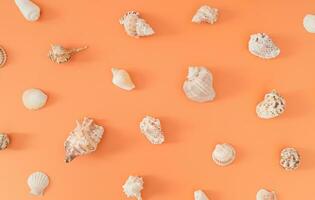 Trendy summer pattern made of sea shells on pastel peachy orange background. Nature summer concept. Minimal sea shells pattern composition. Creative exotic flat lay idea. Sea shells aesthetic. photo