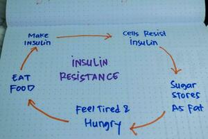 Concept of Insulin Resistance write on book with keywords isolated on Wooden Table. photo