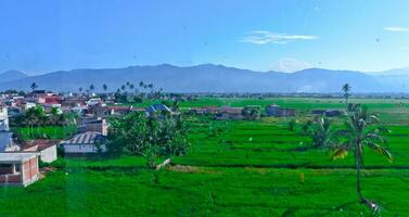 beautiful view of tea plantations in Kerinci, Jambi photo