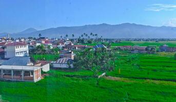 beautiful view of tea plantations in Kerinci, Jambi photo