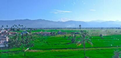 beautiful view of tea plantations in Kerinci, Jambi photo