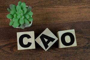 Concept of The wooden Cubes with the word CAO on wooden background. photo