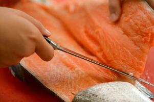 Fresco salmón filete de cerca en blanco corte tablero mesa mientras fileteado salmón barriga por cocinero en Cocinando habitación foto