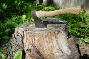 un hacha palos fuera en un tocón de un cortar árbol foto