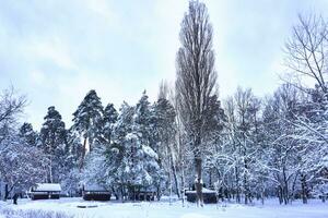 Camping course in a winter recreation park covered with snow photo