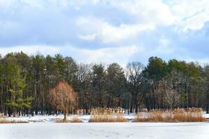 tranquilo invierno bosque, congelado lago debajo azul nubes, frescura y paz foto