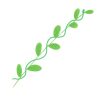 feuille branche icône png