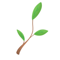 leaf branch icon png