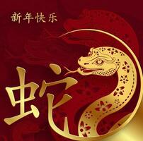 Happy Chinese new year 2025 Zodiac sign, year of the Snake vector