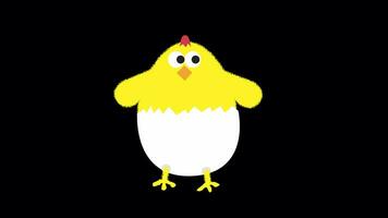 Cartoon Cute Yellow Chick Dancing On Alpha Channel video