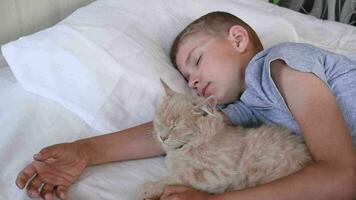 el chico caídas dormido y abrazos su jengibre gato, quien duerme con él debajo el cubre niños y mascotas. el gato duerme con el bebé. el niño es consiguiendo Listo para cama video