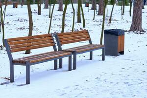 Winter park. Benches and a trash can on a walking alley, footpath photo