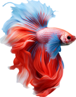 AI generated Colorful bushy tailed betta fish on transparent background png