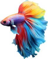 AI generated Colorful bushy tailed betta fish on transparent background png