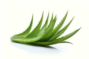 AI generated Aloe vera green leaves on white background photo