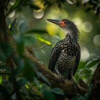 AI generated photograph of a beautiful colorful bird in the Amazon rainforest in Brazil photo