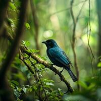 AI generated photograph of a beautiful colorful bird in the Amazon rainforest in Brazil photo