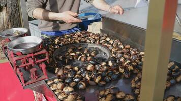 uomo preparazione arrostito castagne, cucinando all'aperto. strada cibo nel tacchino video