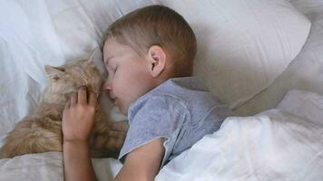 The child does not sleep in the bed, but plays with the red cat. Friendship of children with animals video