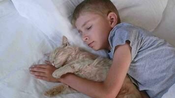 The child does not sleep in the bed, but plays with the red cat. Friendship of children with animals video