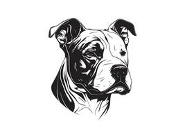 pitbull black and white dog head vector illistration