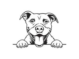 pitbull black and white dog head vector illistration