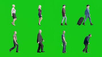 conjunto do homens e mulheres caminhando em verde tela 3d animação video