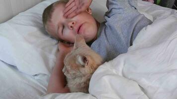 el niño en cama lo hace no bostezo y caídas dormido con un jengibre gato. amistad de niños con animales video