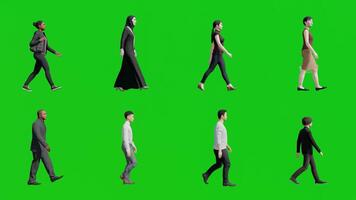 conjunto de diverso personas caminando en lado ver 3d animación en verde pantalla video