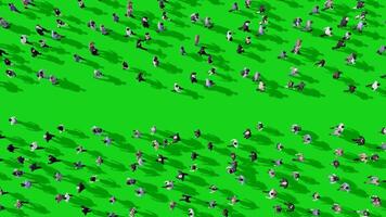 Aerial View Crowd  Walking in Opposite Directions on Green Screen 3D Animation video