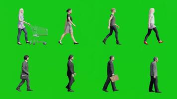 Group of Mixed 3D People Walking on Green Screen in Side View video