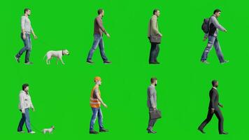 Collection of 3D Human in Different Professions Walking on Green Screen video