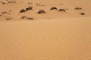 The texture of sand in the desert as a natural background. photo