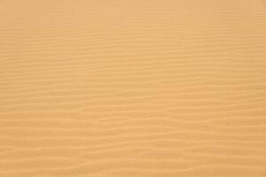 The texture of sand in the desert as a natural background. photo