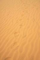 Old footprints in the sand in the desert. photo