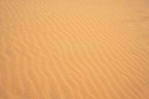 The texture of sand in the desert as a natural background. photo