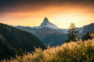 puesta de sol terminado cervino, icónico montaña pico y prado en rural escena a zermatt, Suiza foto