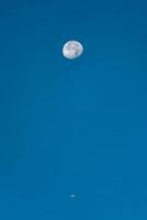 Moon and airplane against clear blue sky in daytime photo