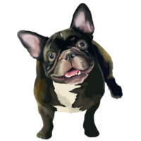 mão desenhado francês buldogue png. png