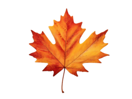 AI generated Maple tree leaf FREE png