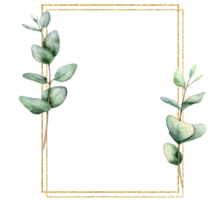 Eucalyptus Watercolor Frame. Eucalyptus Greenery Frame Hand Painted isolated on transparent background.  Perfect for wedding invitations, floral labels, bridal shower and  floral greeting cards png
