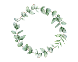 Eukalyptus Aquarell rahmen. Eukalyptus Grün Rahmen Hand gemalt isoliert auf transparent Hintergrund. perfekt zum Hochzeit Einladungen, Blumen- Etiketten, Braut- Dusche und Blumen- Gruß Karten png