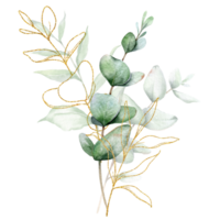 eukalyptus vattenfärg illustration. eukalyptus grönska hand målad isolerat på transparent bakgrund. perfekt för bröllop inbjudningar, blommig etiketter, brud- dusch och blommig hälsning kort png